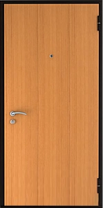 Ламинированная дверь DZ14